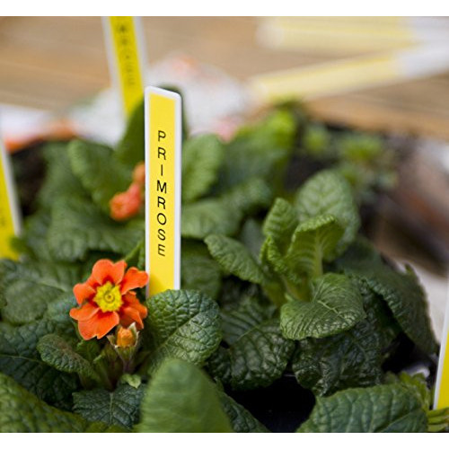 Brother PT-D210 stampante per etichette (CD)...