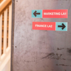 Brother CZ-1001 nastro per etichettatrice Viola su bianco