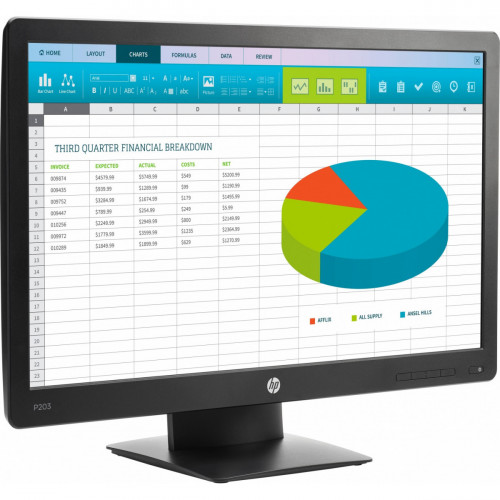 HP ProDisplay P203 50,8 cm (20") 1600 x 900...