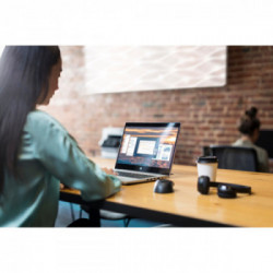 HP USB Fingerprint mouse Ambidestro USB tipo A