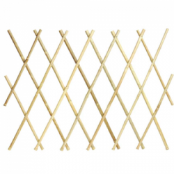 Grigliato piante rampicanti Verdemax 5271