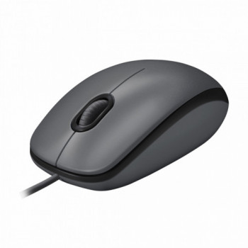 Logitech M100 mouse...
