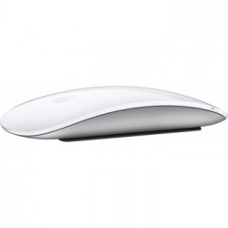 APPLE MAGIC MOUSE MK2E3Z/AMK2E3Z/A Cavo intrecciato da USB-C a Lightning incluso