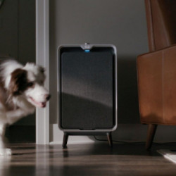 Bissell 3002N - Purificatore d'Aria Air 320, Filtro HEPA e ai Carboni Attivi