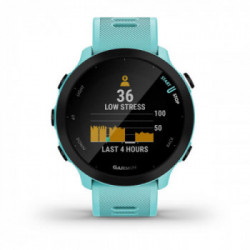Garmin Forerunner 55 2,64 cm (1.04") MIP GPS (satellitare)