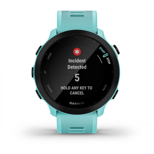 Garmin Forerunner 55 2,64 cm (1.04") MIP GPS...