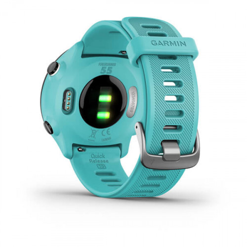 Garmin Forerunner 55 2,64 cm (1.04") MIP GPS...