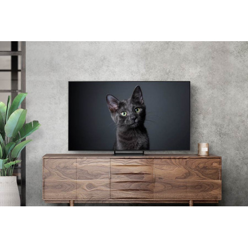 Samsung Series 9 OLED 4K 65" S90C TV 2023