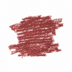 Diego dalla Palma Lip Contour Kit: Rossetto 507 Marsala 4 ml + Matita 12cm Off To Marsala 1.1 g