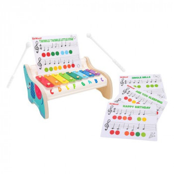 39957 Xilofono Elefante c/3...