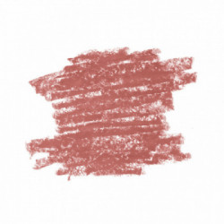 Diego dalla Palma Lip Contour Kit: Rossetto 501 Nude 4 ml + Matita 12cm Get Naked 1.1 g
