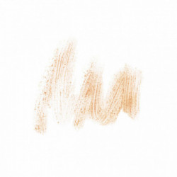 Diego dalla Palma Renew My Lips Scrub Labbra Rinnovatore 101 Miele 25ml