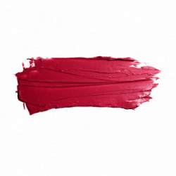 Diego dalla Palma Il Rossetto Creamy Refill 10 my obsession