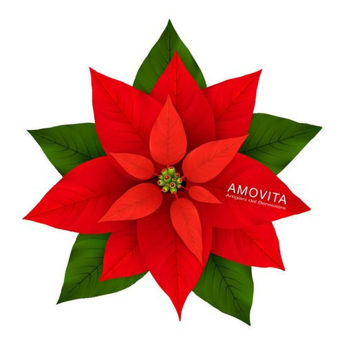 Set bagno Amovita Veravita Stella Di Natale -...