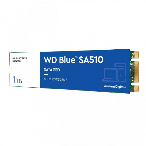 Western Digital Blue SA510 M.2 1000 GB Serial...