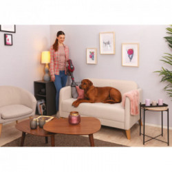 Hoover HF1 HF110P 011 Senza sacchetto 0,9 L 170 W Magenta