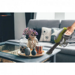 Hoover HF1 HF110H 011 Batteria Secco Tessuto Senza sacchetto 0,9 L 170 W Grigio, Lime