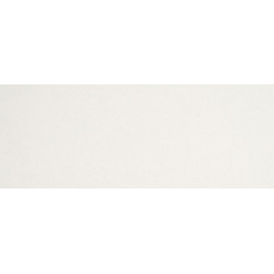 Miele Compact C2 Allergy Ecoline - Aspirapolvere a Traino, Classe A+