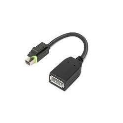 Lenovo 4X90Q93975 cavo e adattatore video Mini DisplayPort DisplayPort Nero