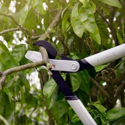 Fiskars 1020188 Troncarami Con Lame Bypass Per Legno Verde, Powergear X, Acciaio Antiaderente, Ø Di Taglio: 5 Cm, 80 Cm, L,