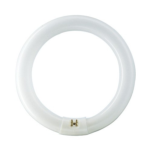 Philips TL-E 40W/840 1CT/12 lampada...