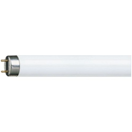 Philips MASTER TL-D Super 80 lampada...