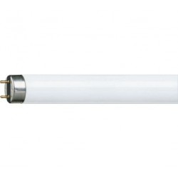 Philips MASTER TL-D Super 80 lampada fluorescente 18 W G13 A