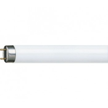 Philips MASTER TL-D Super...