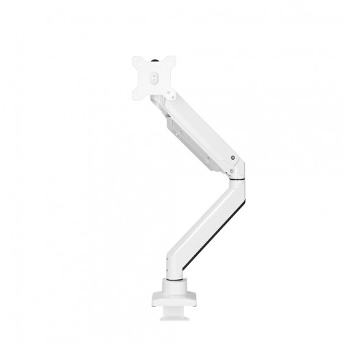 Newstar Supporto da scrivania per monitor