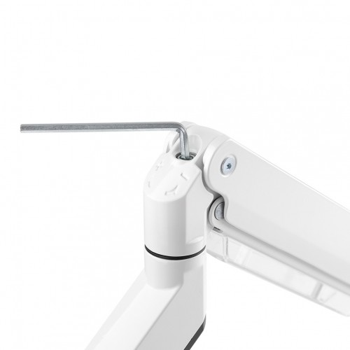 Newstar Supporto da scrivania per monitor