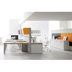 Newstar Supporto da scrivania per monitor