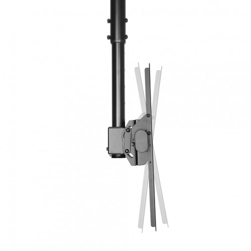 Newstar Supporto da soffitto per schermi...