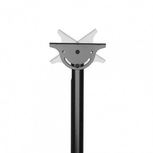 Newstar Supporto da soffitto per schermi...