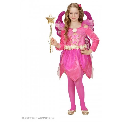 FATINA DEL PAESE DELLE MERAVIGLIE (vestito,...