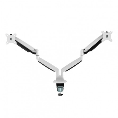 Newstar Supporto da scrivania per monitor