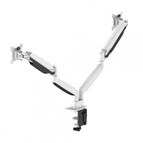 Newstar Supporto da scrivania per monitor