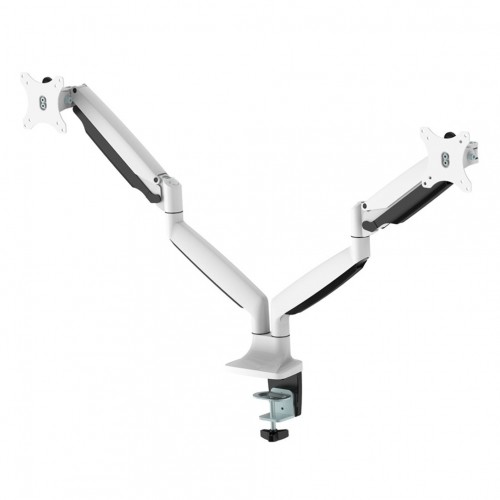 Newstar Supporto da scrivania per monitor
