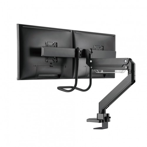 Newstar Supporto da scrivania per monitor
