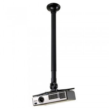 Newstar Supporto da...