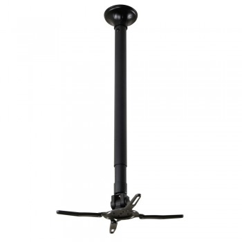 Newstar Supporto da... 2