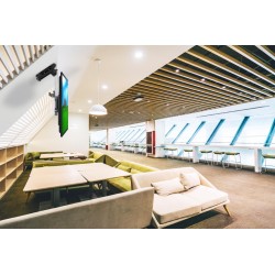 Newstar Supporto da soffitto per schermi LCD/LED/TFT