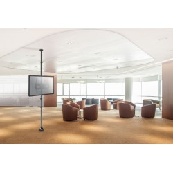 Newstar Supporto da pavimento a soffitto per schermi LCD/LED