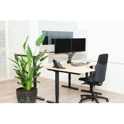 Newstar Schermo trasparente di