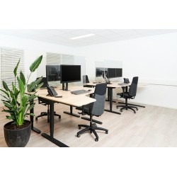 Newstar Schermo trasparente di