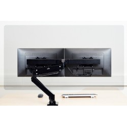 Newstar Schermo trasparente di