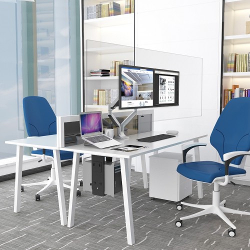 Newstar Schermo trasparente di