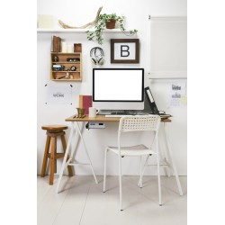 Newstar titolare thin client