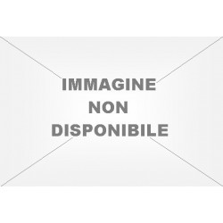 Smartphone WIKO F300 WHITE