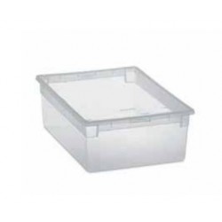 Terry Light Box M Armadietto portaoggetti Trasparente Rettangolare