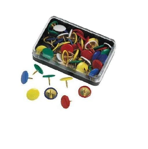 Molho Leone Pins Plastic Cover Multicolore